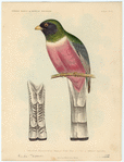 Image ID 821559