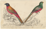 Image ID 821560
