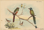 Image ID 821561