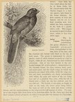 Image ID 821562