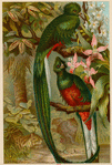 Image ID 821563