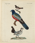 Image ID 821564