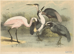 Image ID 821565