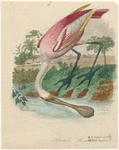 Image ID 821567