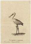 Image ID 821568
