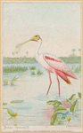 Image ID 821569