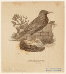 Image ID 821577