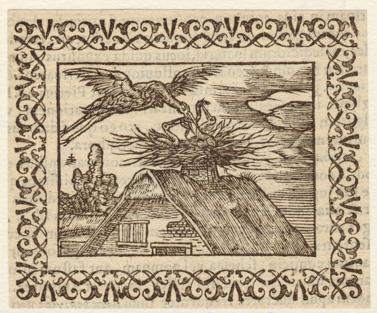 Image ID 821585
