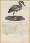 Image ID 821586