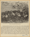 Image ID 821587