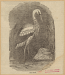 Image ID 821588