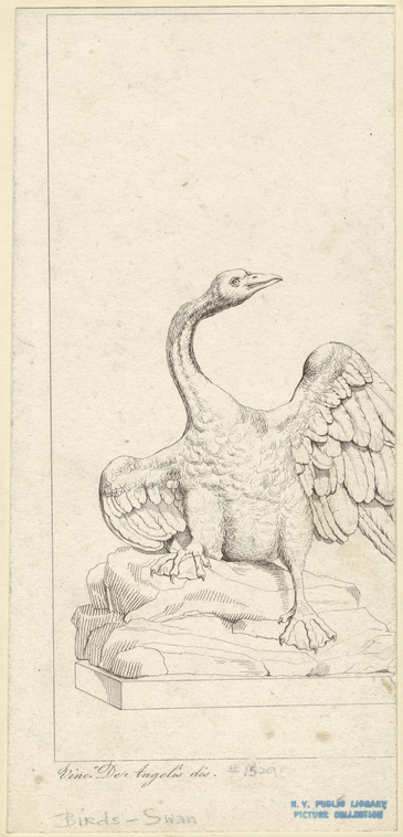 Image ID 821601
