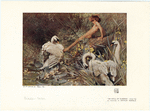 Image ID 821604