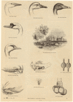 Image ID 821609