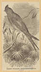 Image ID 821610
