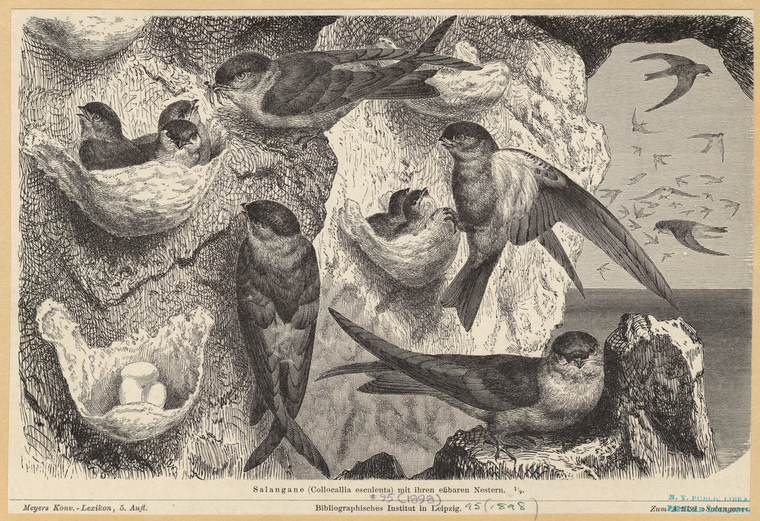 Image ID 821612
