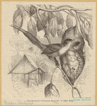 Image ID 821614