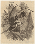 Image ID 821615