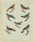 Image ID 821617