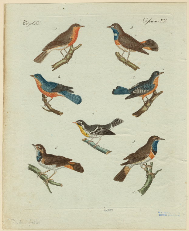 Image ID 821617
