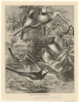 Image ID 821622