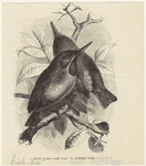 Image ID 821624