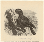 Image ID 821625