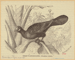 Image ID 821636