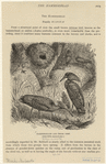Image ID 821638