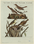 Image ID 821643