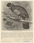 Image ID 821646