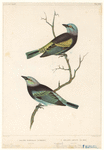 Image ID 821648