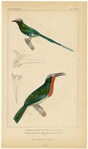 Image ID 821655