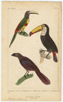 Image ID 821656