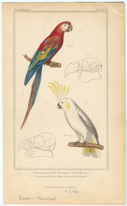 Image ID 821657