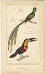 Image ID 821658