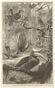 Image ID 821659