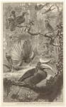 Image ID 821659