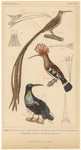 Image ID 821661