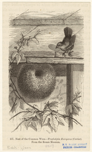Image ID 821665