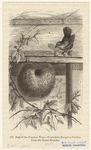 Image ID 821665