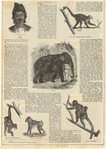 Image ID 821671