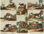 Image ID 821673