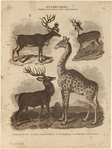 Image ID 821675