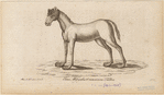 Image ID 821681
