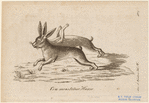 Image ID 821686