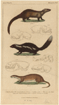 Image ID 821693