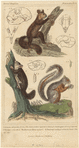 Image ID 821696