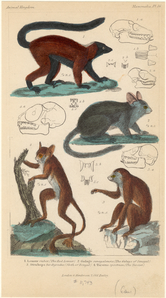 Image ID 821697