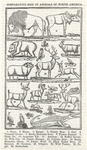 Image ID 821698